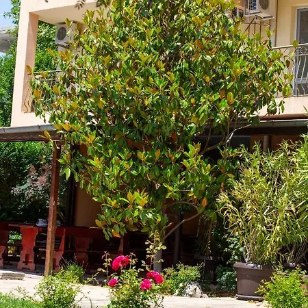 Family Magnolia, Sunny