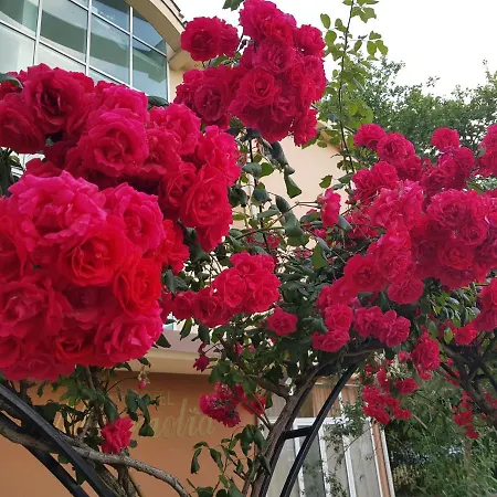 Family Magnolia, Sunny 호텔 2*