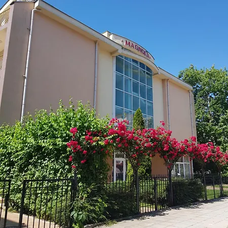 Family Magnolia, Sunny 호텔