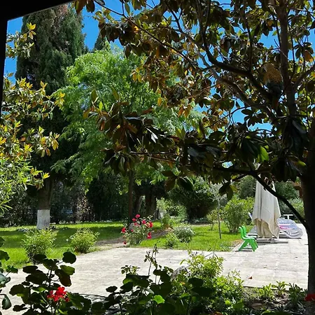 Family Magnolia, Sunny 호텔