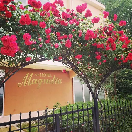 فندق Family Magnolia ساني بيتش