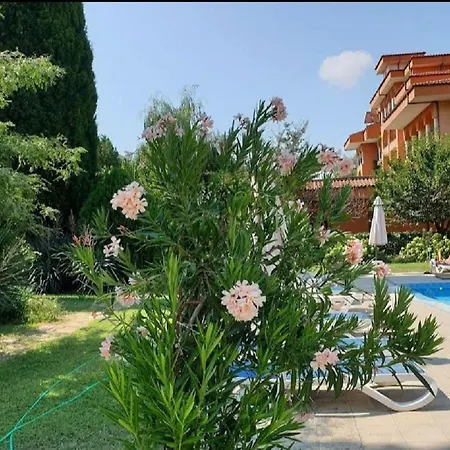 Family Magnolia فندق ساني بيتش