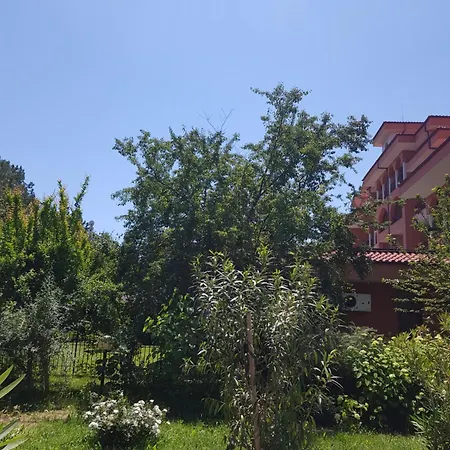Family Magnolia, Sunny מלון