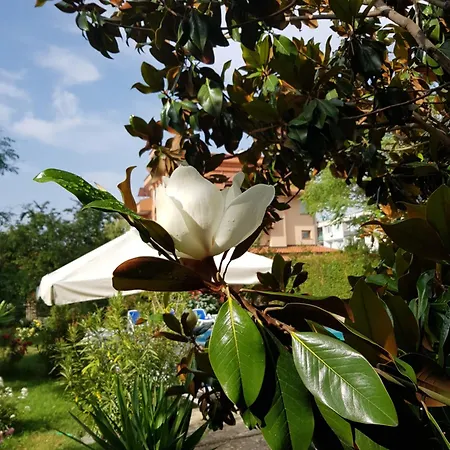 فندق Family Magnolia