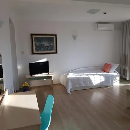 Family Magnolia, Sunny