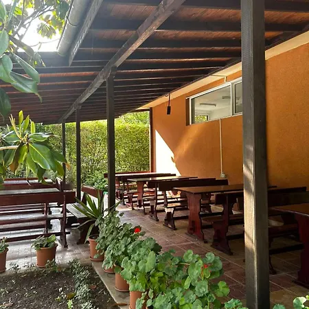 Family Magnolia, Sunny 阳光海滩