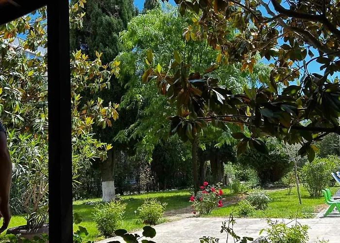 Family Magnolia, Sunny