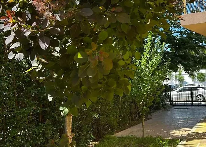 Хотел Family Magnolia, Sunny Слънчев бряг