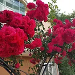 Family Magnolia, Sunny فندق 2*
