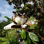 فندق Family Magnolia, Sunny