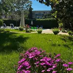Family Magnolia, Sunny 2* ساني بيتش