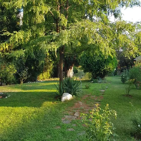 Family Magnolia, Sunny