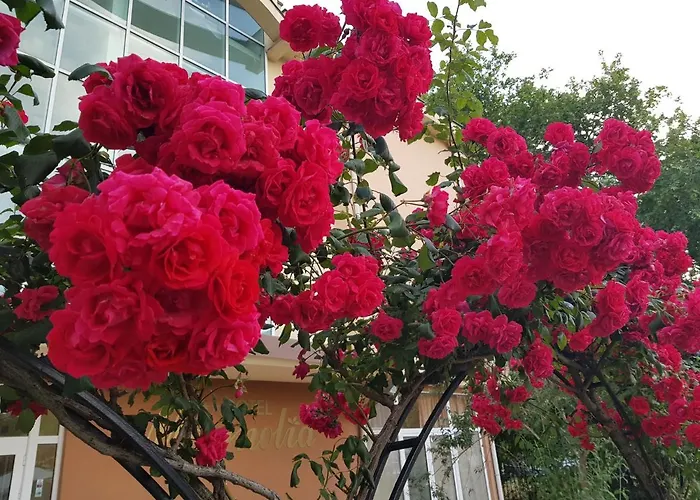 Family Magnolia, Sunny Отель 2*