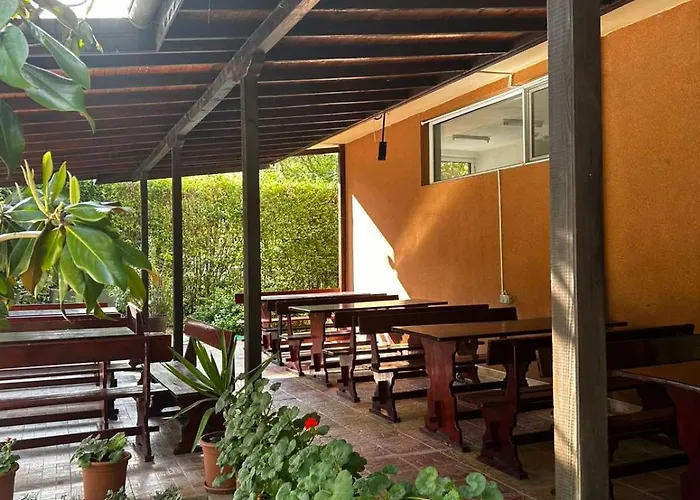 Family Magnolia, Sunny Sunny Beach