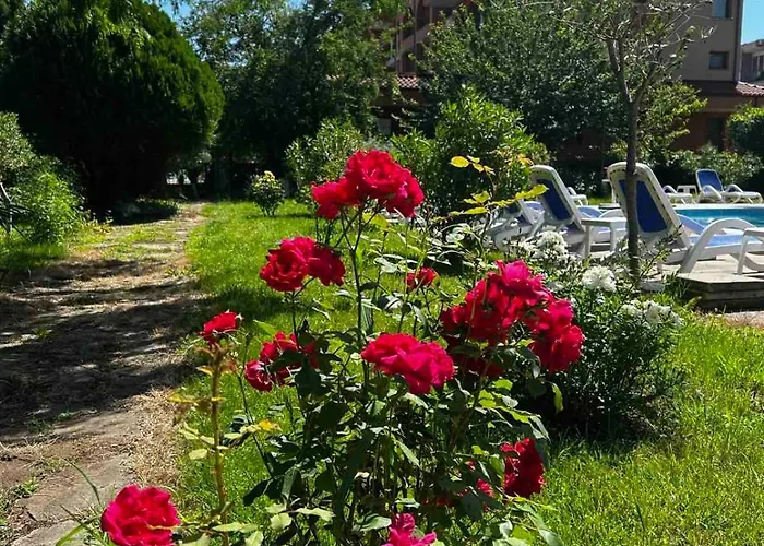 Отель Family Magnolia, Sunny 2*