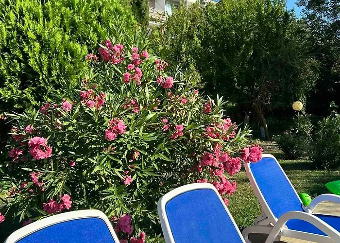 Family Magnolia, Sunny Otel