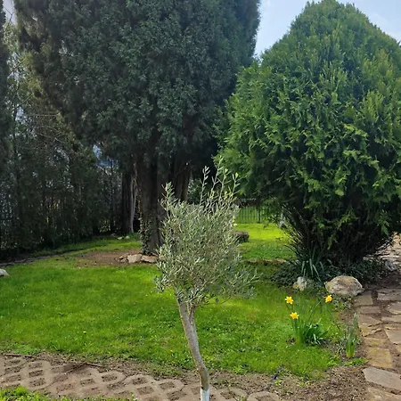 Family Magnolia, Sunny Sluneční pobřeží