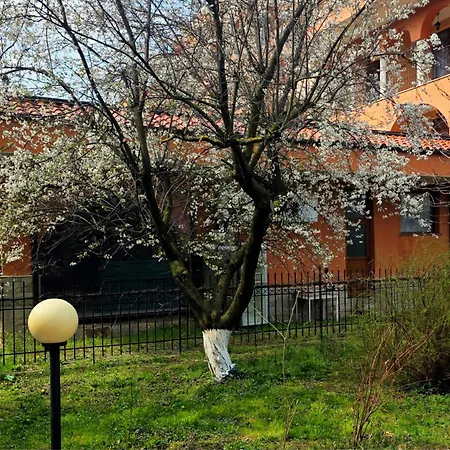 Family Magnolia, Sunny 2* Sluneční pobřeží