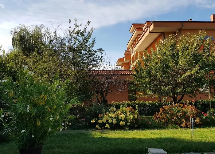 Family Magnolia, Sunny Sluneční pobřeží