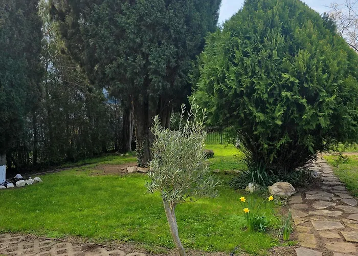 Family Magnolia, Sunny Sluneční pobřeží