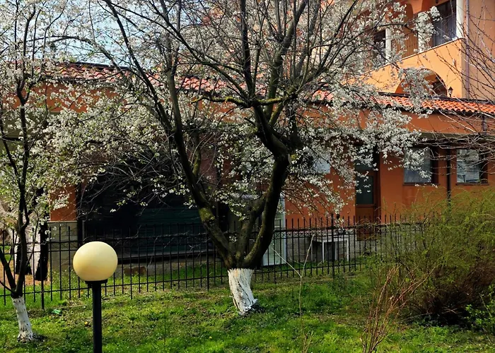 Family Magnolia, Sunny 2* Sluneční pobřeží